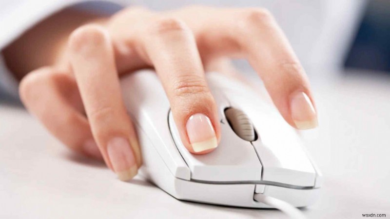 How to Fix Mouse Scroll Not Working on Windows 11/10