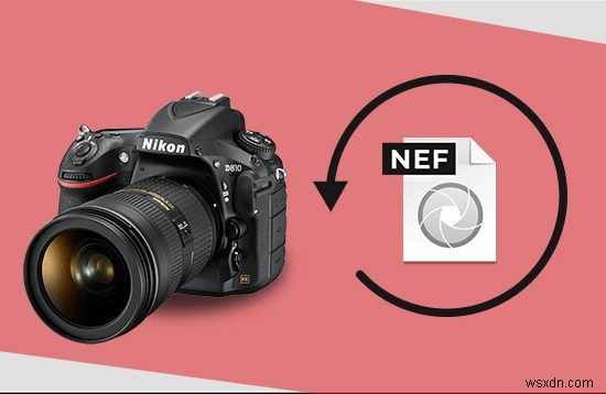 How To Recover Photos Deleted From A Nikon Camera