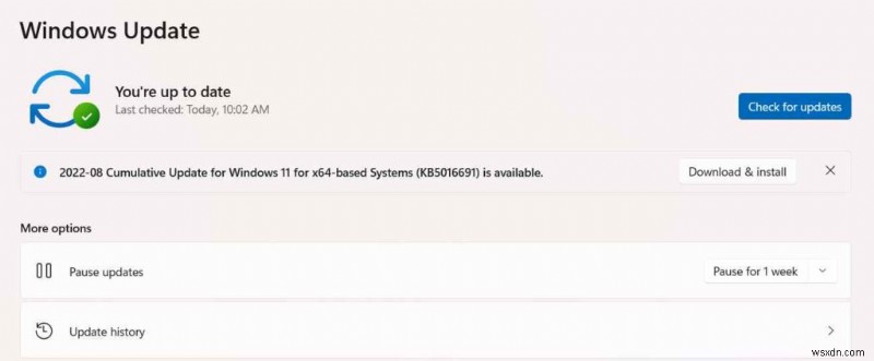 Can’t change Screen Resolution in Windows 11? Here’s the Fix!