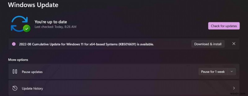 DisplayPort not Working on Windows 11? Here’s the Fix!