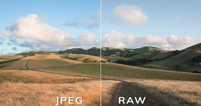 RAW vs. JPEG: Which Is Best And Why?