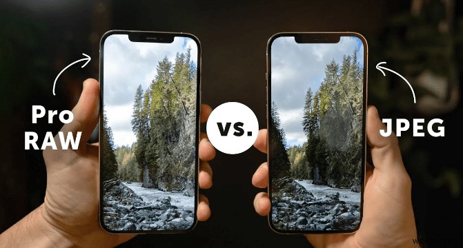 RAW vs. JPEG: Which Is Best And Why?