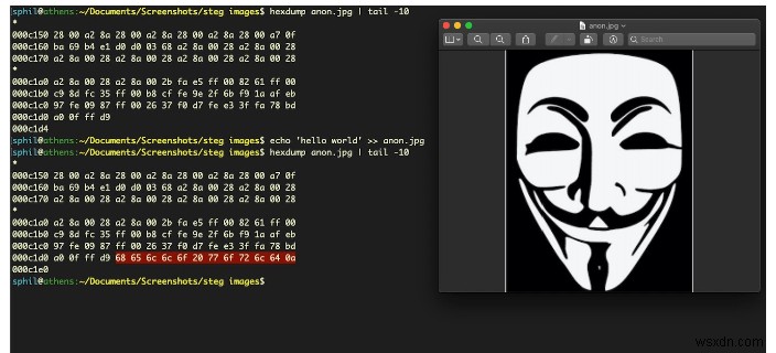 How Do Scammers Hide Malware in Image Metadata?