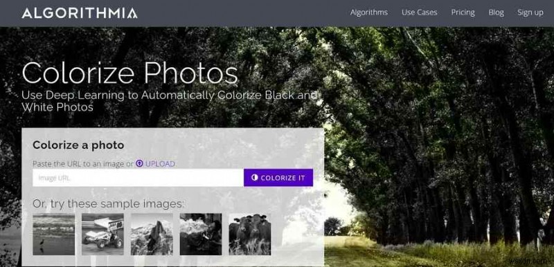 Best Tools To Add Colors To Black And White Photos And Extract Duplicate Photos