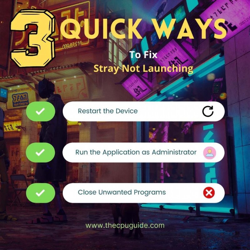 Stray Not Launching On Windows 11/10