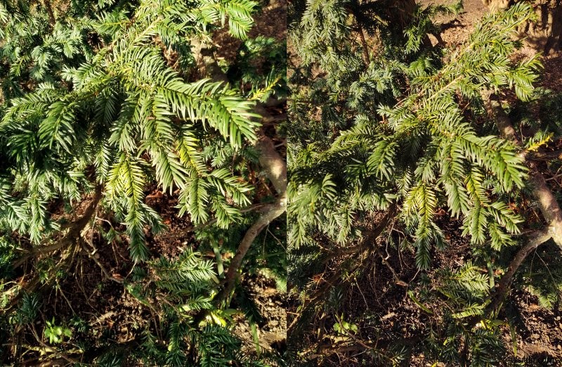 Nokia 5.3 review - A surprisingly refined, fun smartphone