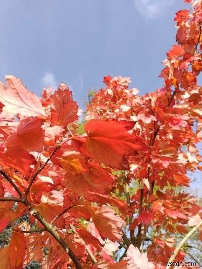 Nokia X10 review - Big phone, decent spec, average camera