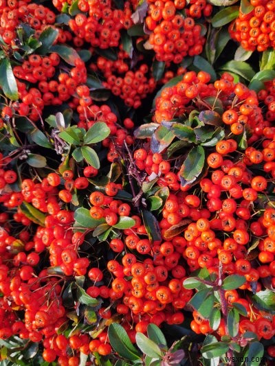 Nokia X10 review - Big phone, decent spec, average camera