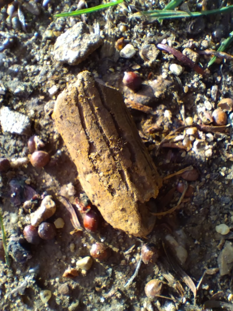 Nokia X10 review - Big phone, decent spec, average camera