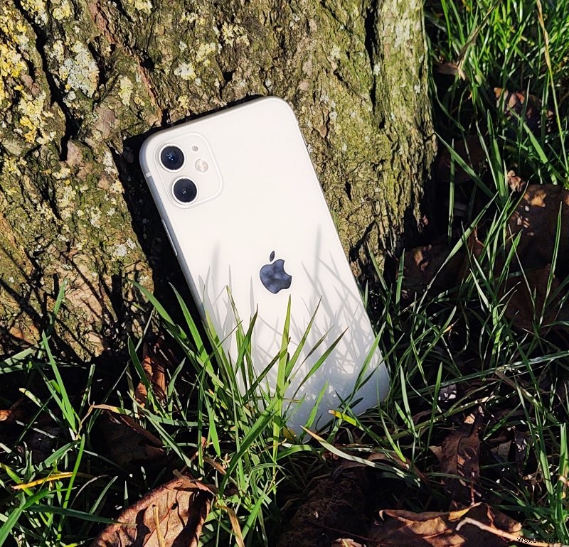 Dedo does iPhone 11 - Review from a peasant curmudgeon