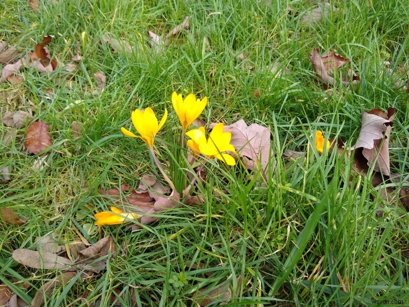 Motorola Moto G6 review - Really cool