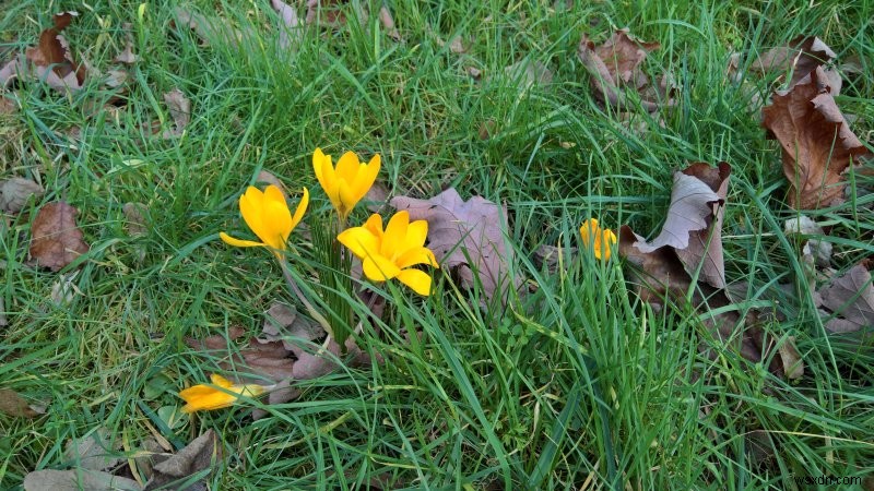 Motorola Moto G6 review - Really cool