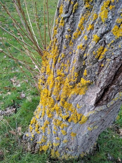 Motorola Moto G6 review - Really cool