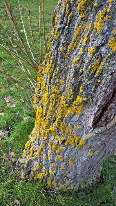 Motorola Moto G6 review - Really cool