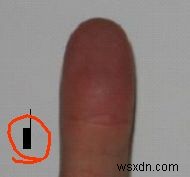 The future of the computer