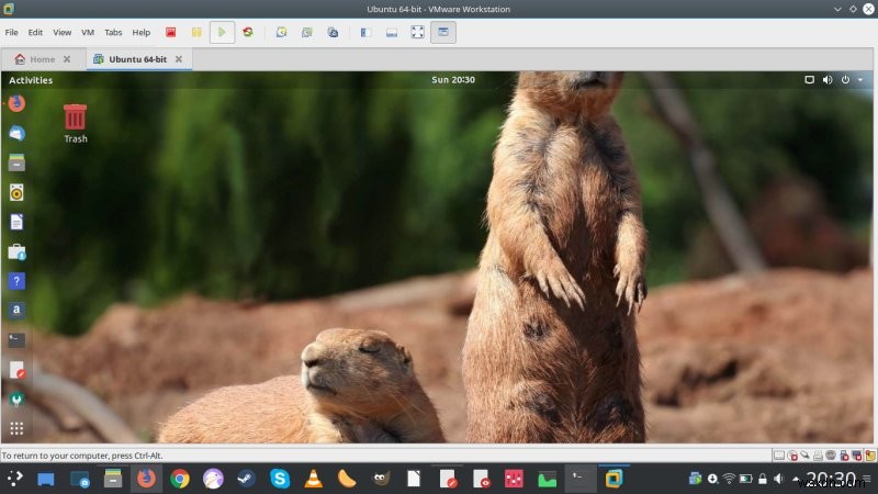 VMware Workstation 14 - Expansive and expensive