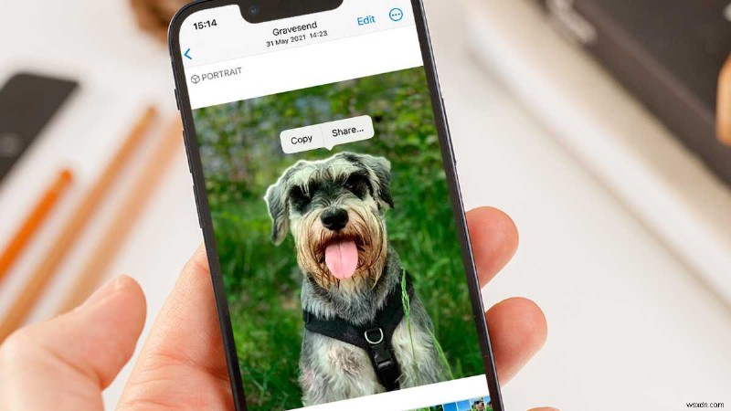 How to use the weird new photo cutout feature in iOS 16
