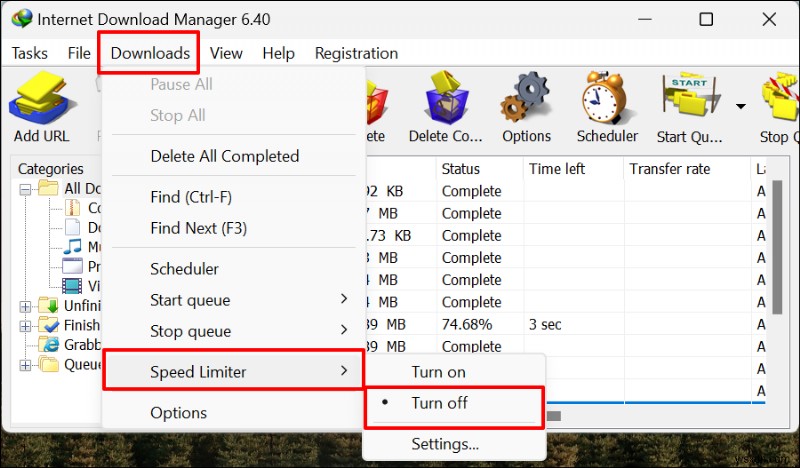 Does Internet Download Manager Actually Increase Download Speeds?