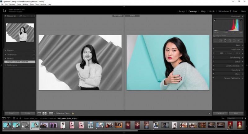 Top Windows Photo Management Software: Organize, Search, & Share Effortlessly