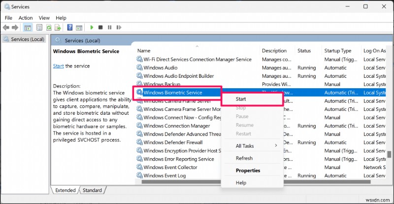 Resolve the  No Compatible Camera  Windows Hello Face Error – Step‑by‑Step Guide