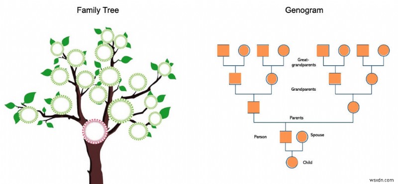 Create a Genogram in Microsoft Word: Step-by-Step Guide