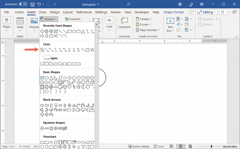 Create a Genogram in Microsoft Word: Step-by-Step Guide