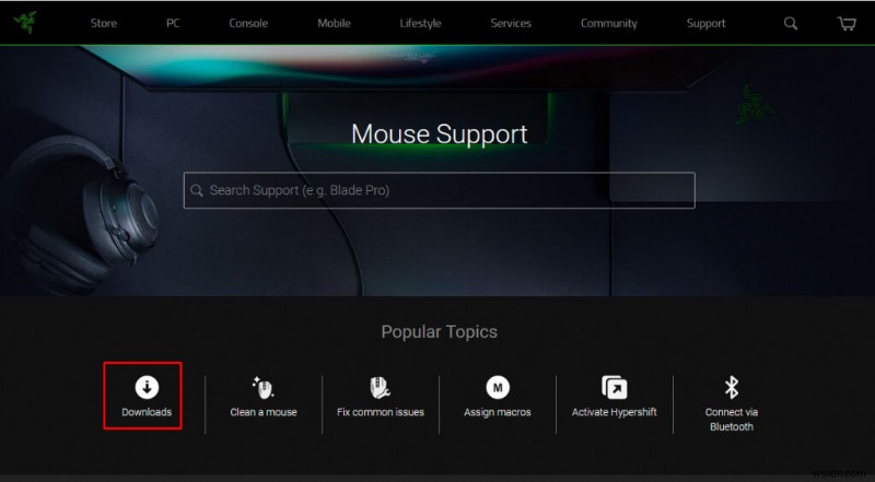 Razer Peripherals Not Detected in Synapse? 6 Quick Fixes