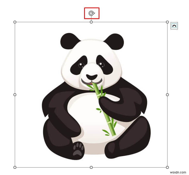 Rotate Images in Word: A Quick & Easy Guide