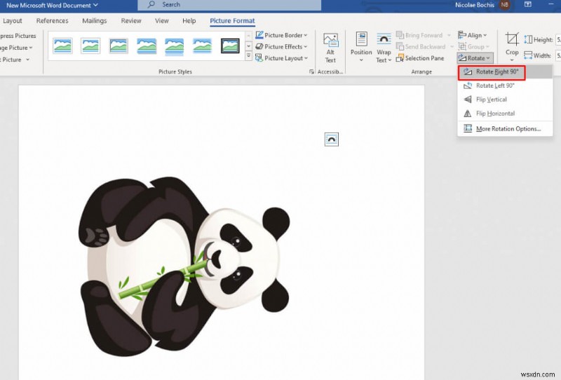Rotate Images in Word: A Quick & Easy Guide