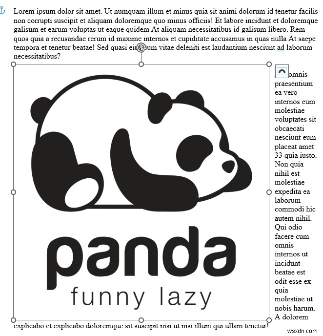 Rotate Images in Word: A Quick & Easy Guide