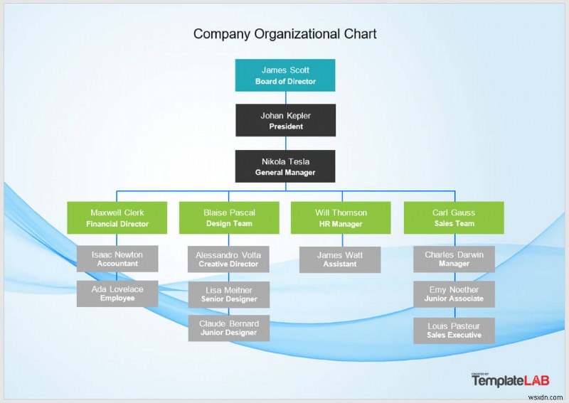 Create Professional Org Charts in Word, Excel & PowerPoint – Step‑by‑Step Guide