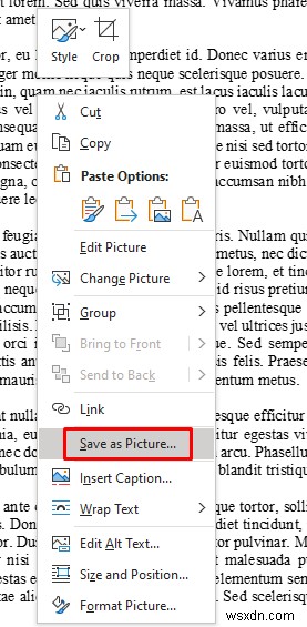 Convert Your Word Document to a High-Quality JPEG in Minutes