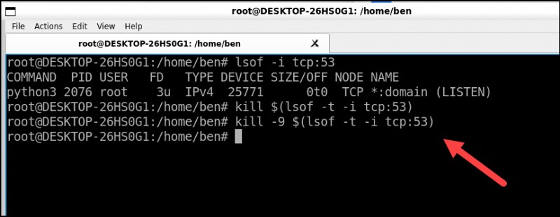 Terminate a Linux Process by Port Number: Quick & Safe Method