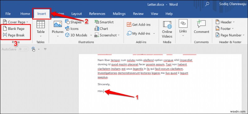 Easily Duplicate Pages in Microsoft Word: Step‑by‑Step Guide & Macro Tutorial