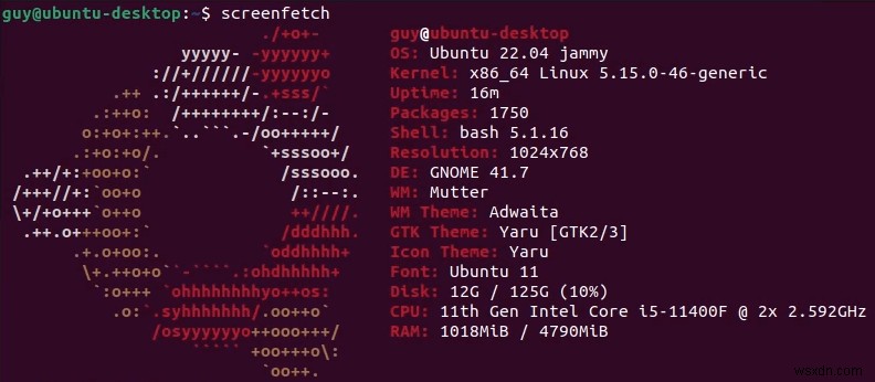 How to Identify Your Ubuntu Version Quickly and Accurately