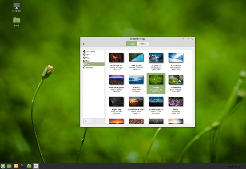 Top 7 Linux Distros for Beginners: Find the Ideal User-Friendly System