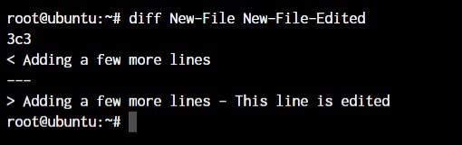 Master Linux: 50+ Essential Commands for Efficient System Management