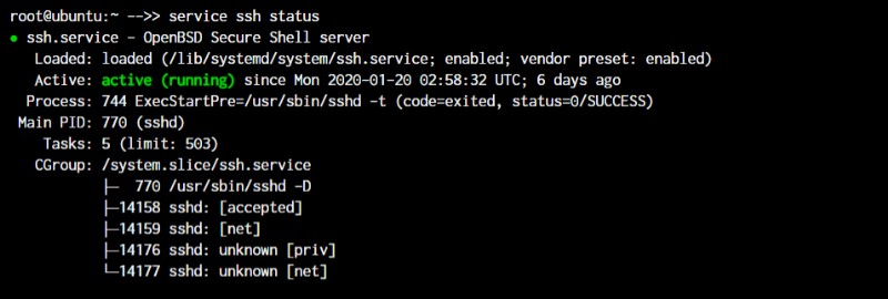 Master Linux: 50+ Essential Commands for Efficient System Management