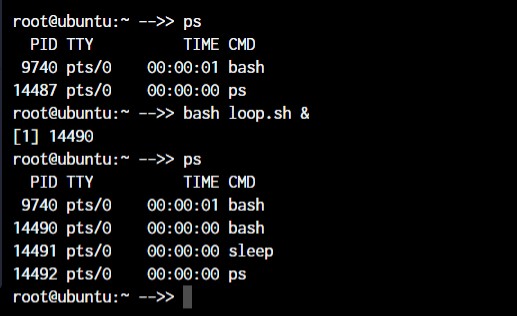 Master Linux: 50+ Essential Commands for Efficient System Management