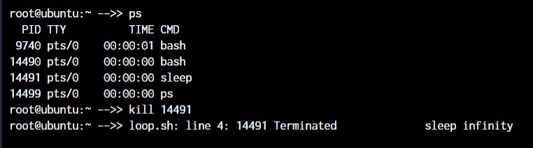 Master Linux: 50+ Essential Commands for Efficient System Management