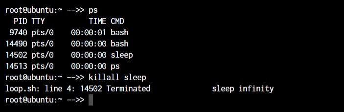 Master Linux: 50+ Essential Commands for Efficient System Management