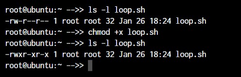 Master Linux: 50+ Essential Commands for Efficient System Management