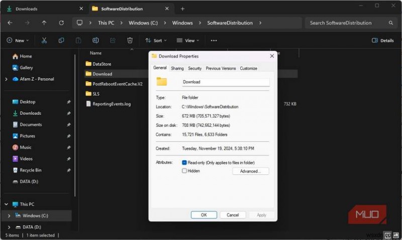 How Hidden Windows Folders Can Consume 50GB of Disk Space – A Proven Cleanup Guide