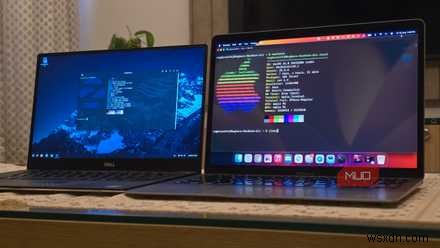Linux Surpasses Windows at 40: Gaming Won t Reverse the Trend