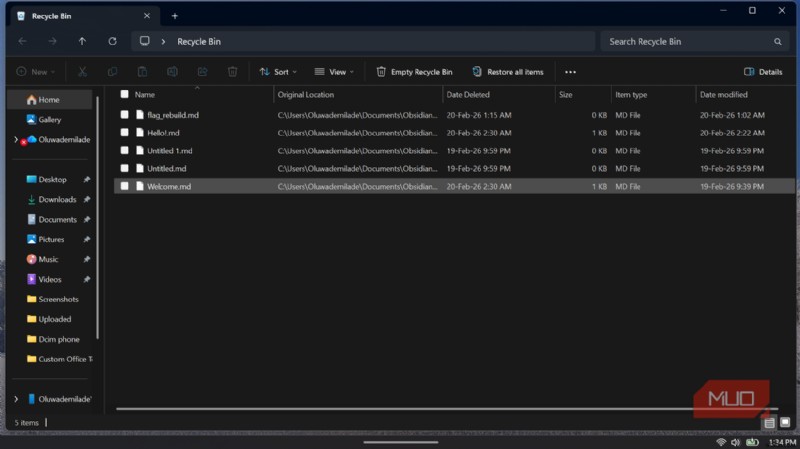 Why Files Vanish from the Recycle Bin: The Hidden Size Limit Revealed