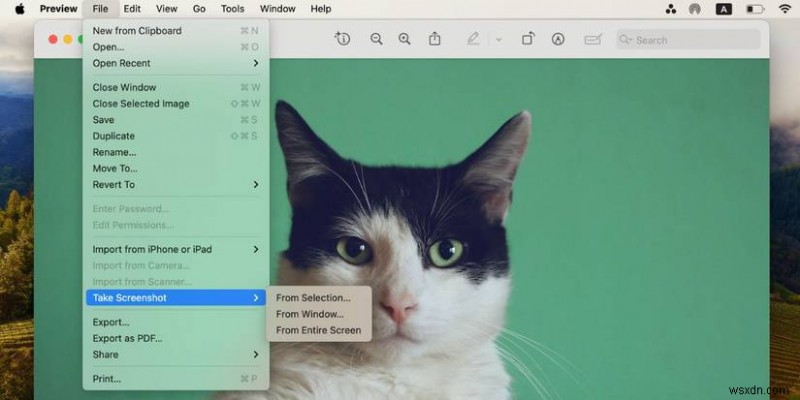 Master Mac Screenshot Techniques: A Comprehensive Guide to Capturing Your Screen