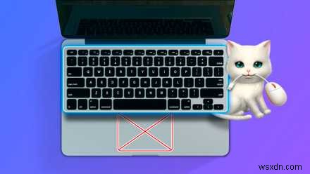 Raycast: The Essential Mac App for Boosting Productivity