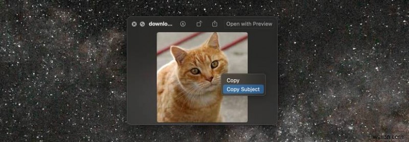 Effortless Background Removal on macOS: Quick Guide for Mac Users