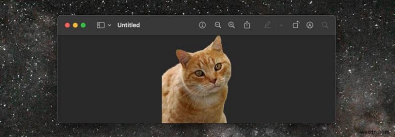 Effortless Background Removal on macOS: Quick Guide for Mac Users