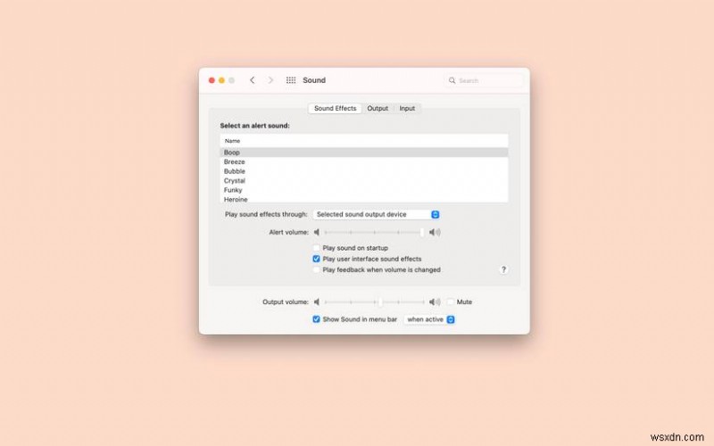 Top 6 Essential MacBook Settings for Students & Professionals